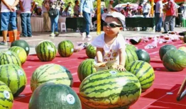 呱呱爆料911吃瓜网站无毒,无毒呱呱爆料，带你走进真实娱乐圈